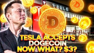Dogecoin Tesla Q1, Q2 Expectations To The Moon? Dogecoin News