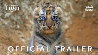 Disneynature's Tiger | Official Trailer | Disney+ Hotstar Malaysia