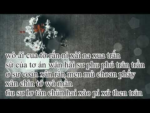 Video {PHIÊN ÂM TIẾNG VIỆT} NGƯỜI TỪNG YÊU/爱过的人 - Nhậm... - youtube