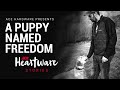 A Puppy Named Freedom -  Ace Heartware Stories