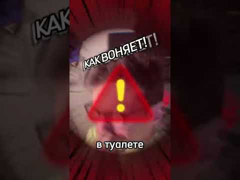 Песня как Симба… 💩