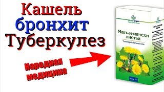 Мать-и-мачеха при Кашле бронхите Туберкулезе Мать-и-мачеха при Кашле бронхите Туберкулезе