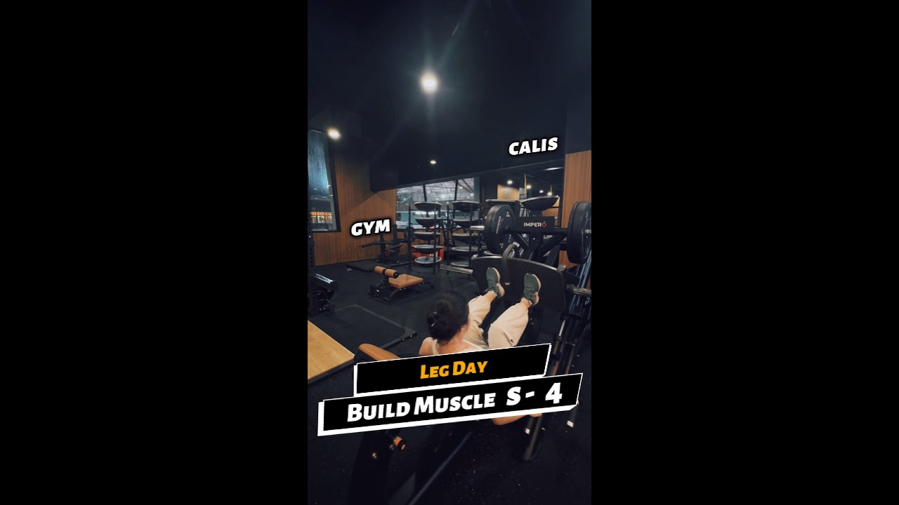 Leg Day Workout at the Gym session 4