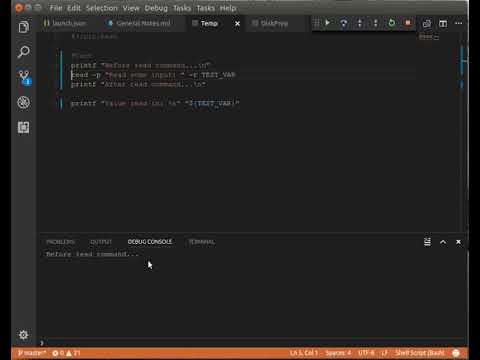 bash debug read command bug