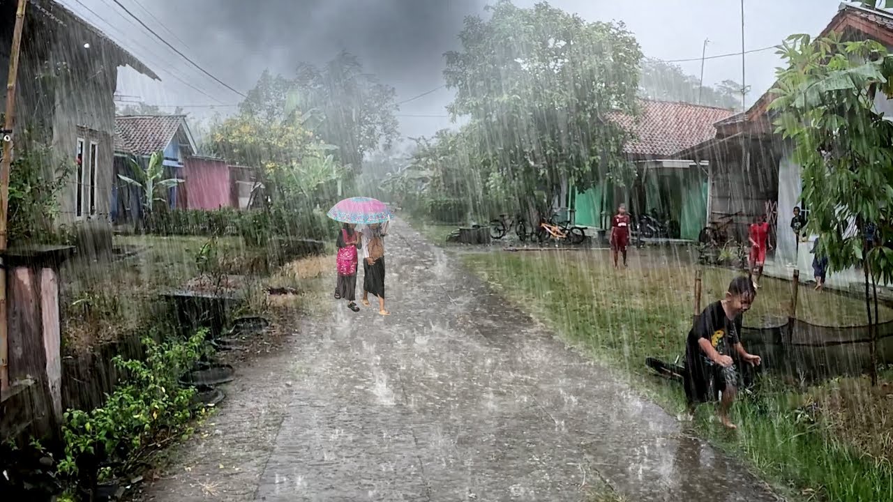 super big heavy rain and An strong wind storm hit my village | insomnia ...