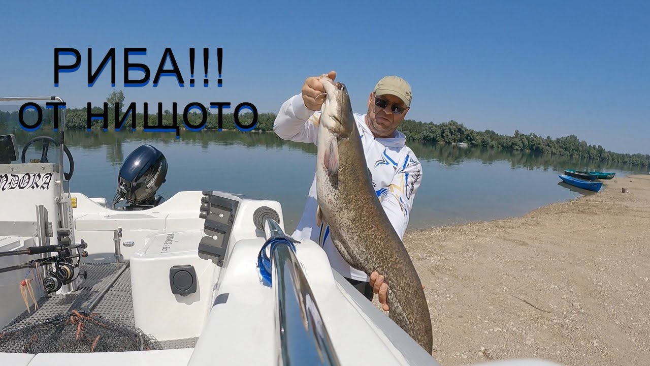Риболов на кльонк (Риба в нищото!) Река Дунав! CATFISHING: WITH CLONK !!! Danube River!