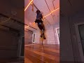 #poledance #menspoledance #一二三 #penthouse