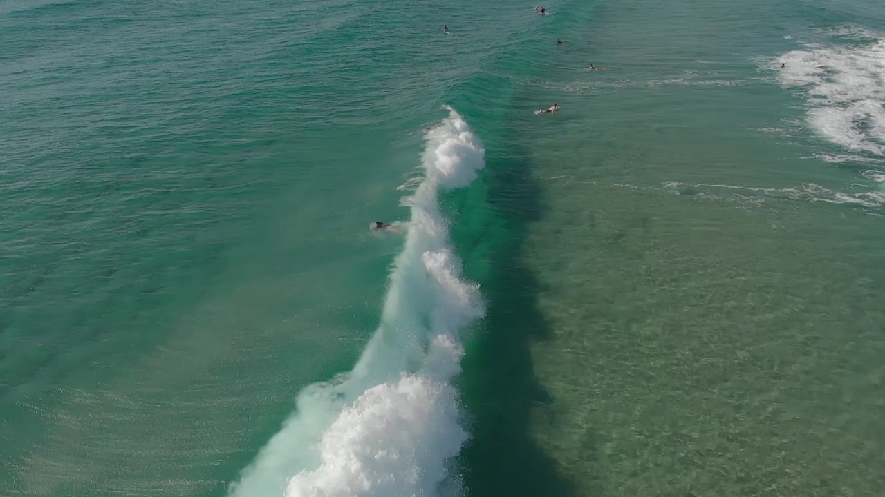 Surfing Palm Beach YouTube