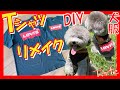 【Tシャツ リメイク•DIY】キッズTシャツ セール商品で犬服を作ってみた！【リーバイスTシャツ】型紙作成あり