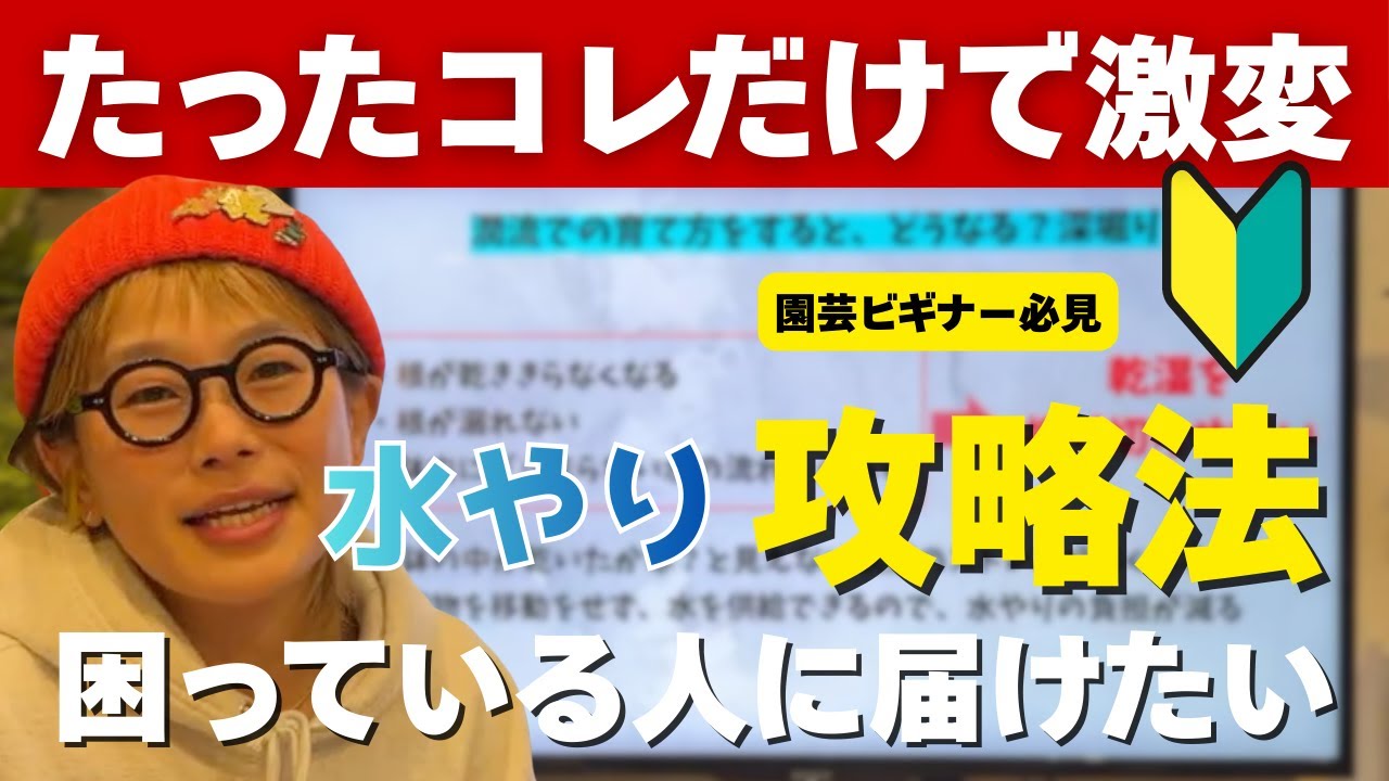 【水やり革命】もう困らない...”潤流”とは？徹底解説　#観葉植物 #水やり #観葉植物初心者 