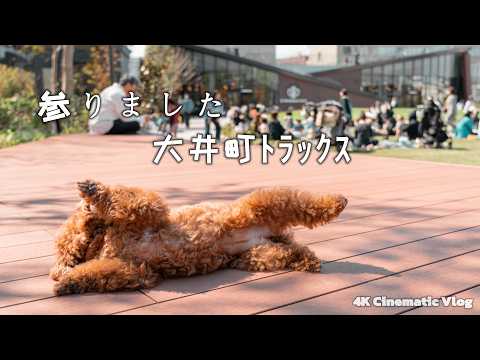 春のおさんぽ。大井町トラックス｜愛犬と過ごす あたたかな1日｜30代 独身男性 × トイプードル いなり【4K Cinematic Vlog】のサムネイル