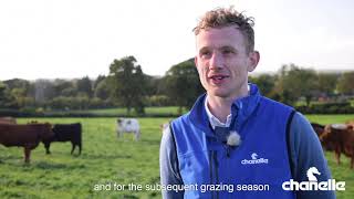 Liver Fluke Control on a Dairy farm