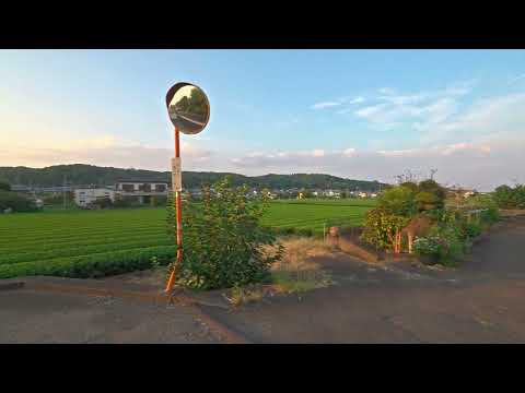 入間の街歩き動画