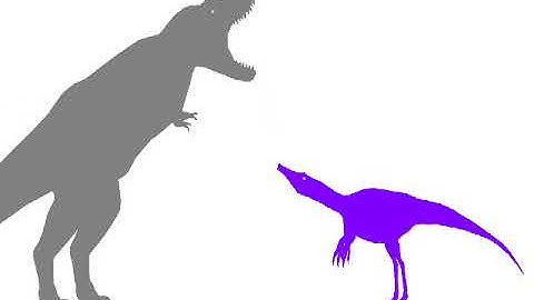 Dinosaur Battle - Irritator vs Tyrannosaurus