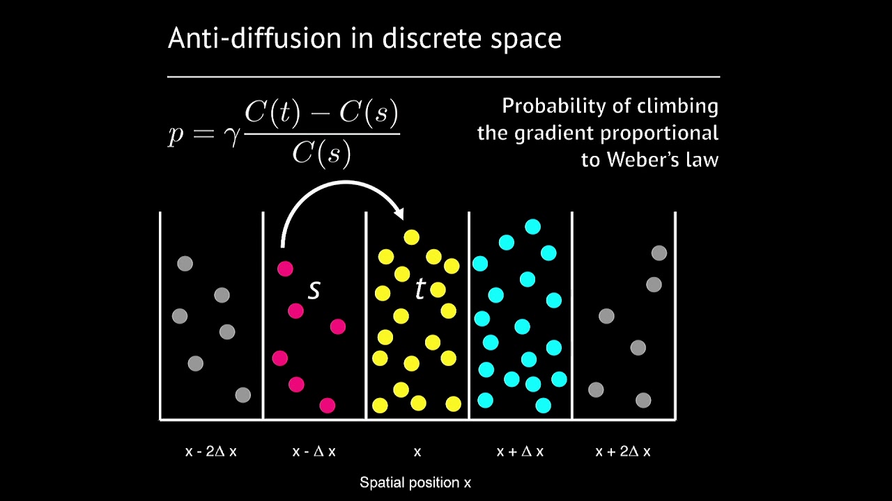Weber's Law-based Sensory Perception and the Stability of Animal Groups ...