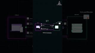 TLS Handshake Secures Connections