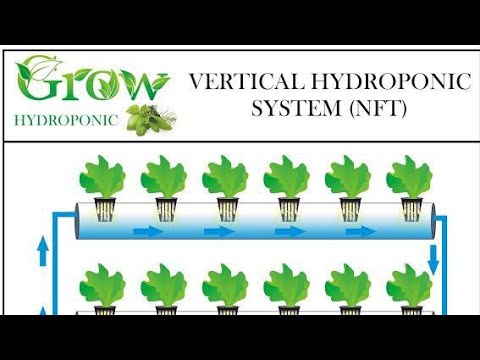 What is the hydroponic method of farming?￼It is an agricultural technique