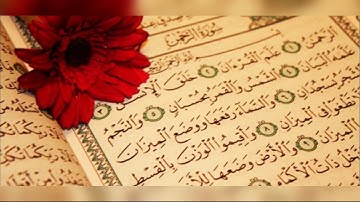 سورة الرحمن كامله للشيخ محمد يوسف منقوله من اذاعة القران الكريم