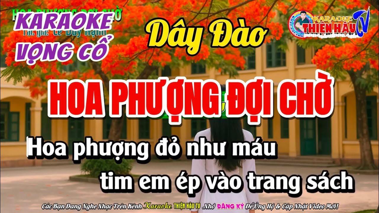 Karaoke Vọng cổ: HOA PHƯỢNG ĐỢI CHỜ - Dây Đào || Thiện Hậu TV