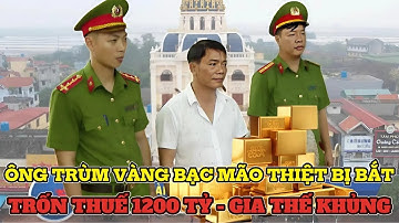 BẮT ÔNG TRÙM CÔNG TY VÀNG BẠC MÃO THIỆT (NGUYỄN THẾ BẢO) VÌ TRỐN THUẾ 1.200 TỶ ĐỒNG!