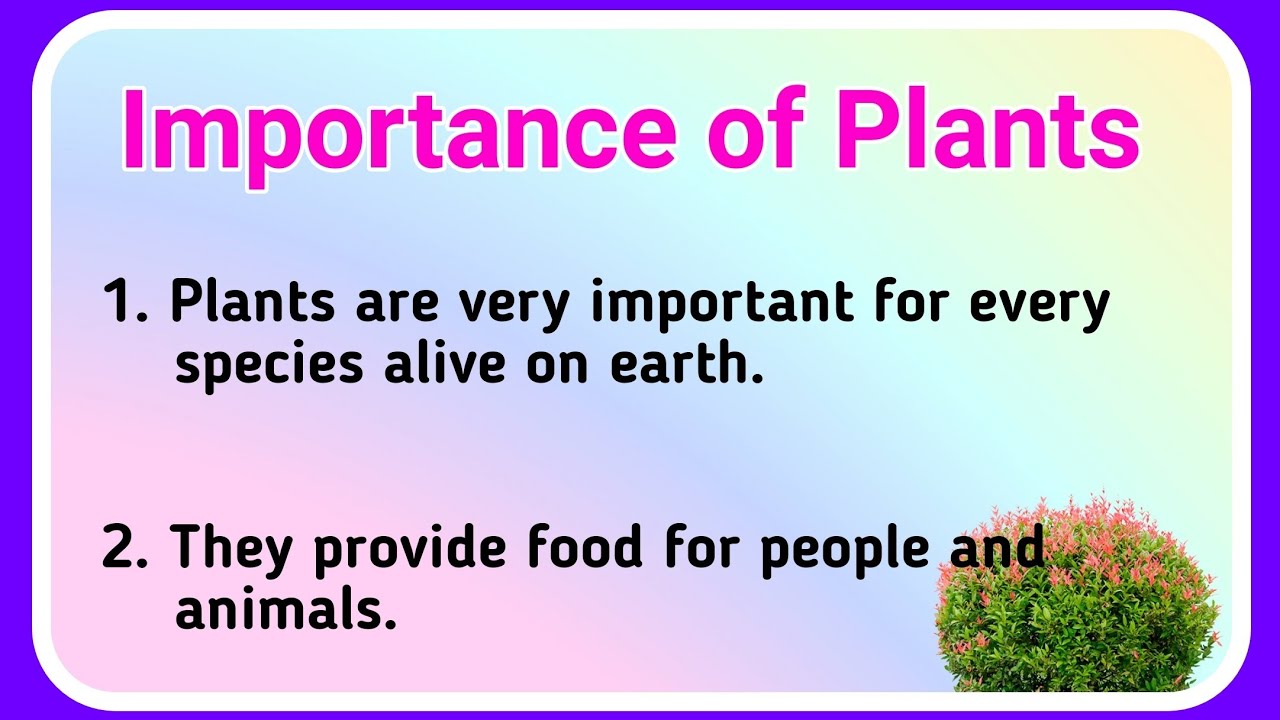 economic importance plants essay