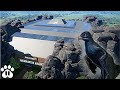 Giant Microraptor Aviary | Prehistoric Kingdom | Lets Play | Alpha Gameplay