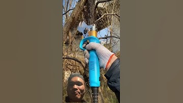 Thường Xuyên Cắt Tỉa Cây Cảnh Hãy Dùng Chiếc Kéo Này #tools