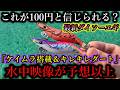 閲覧注意…ダイソー最新100円エギがケイムラ搭載、水中映像も予想以上で言葉を失う
