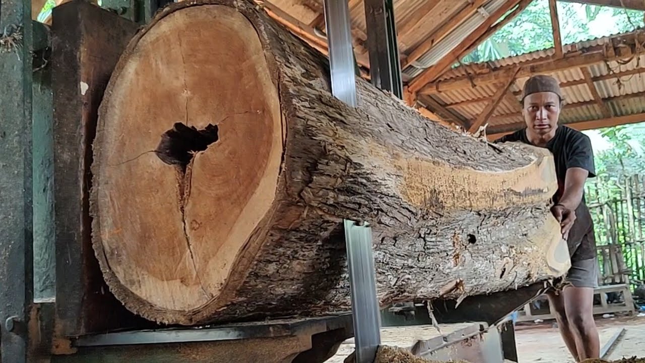 The process of sawing wooden blocks from large teak logs for house ...
