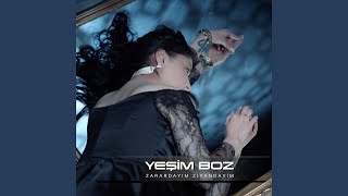 Zarardayım Ziyandayım