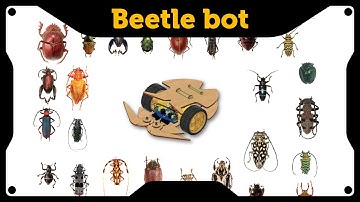 BeetleBot - Working video.