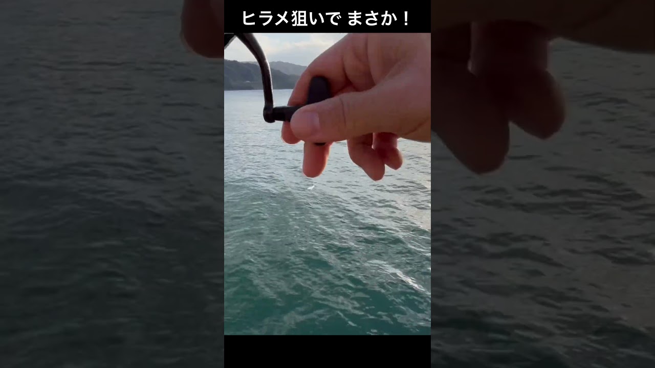 【アジ泳がせ】ヒラメ狙ってたらまさかの！！#shorts