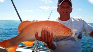 How to cut up a baitfish