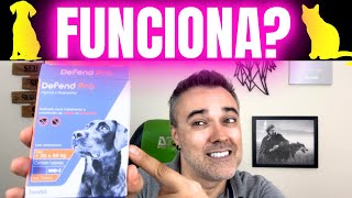 Como Acabar Com Pulgas E Carrapatos Testado Na Prática Defend Pro Funciona?