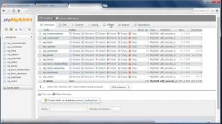 Beginner’s Guide to WordPress Database Management with phpMyAdmin