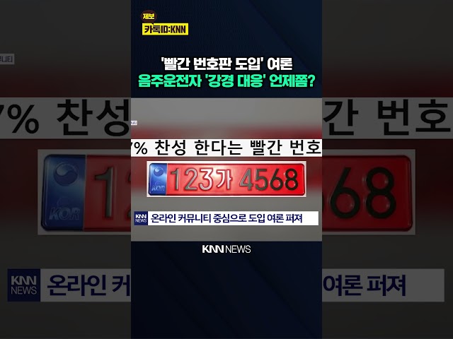 '빨간 번호판'에 97% 찬성? "당장 시행해!" 초강경 원한다 / KNN