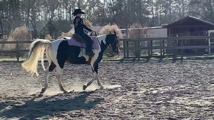 APHA January e-show Allison Goldstein/A Hotroddin ...