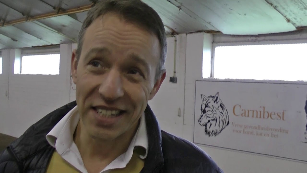 Gezondheidskeuring Mopshonden