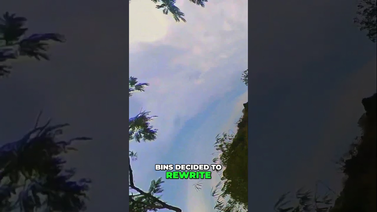 Post-Dog-Attack Era… And I Still Went Up High?! 🥲🪂