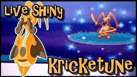 LIVE!! Shiny Kricketune + SHINY PATCH at chain of 40!!