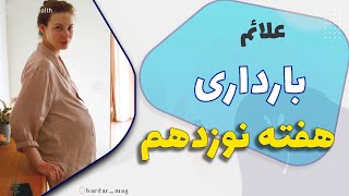علائم بارداری هفته نوزدهم