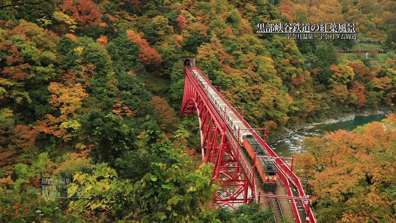 富山 黒部峡谷鉄道の紅葉風景 Uhd4k顔声曲無 Eos R Autumn Leaves In Kurobe Gorge Youtube