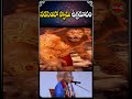 నరసింహా స్వామి ఉగ్రరూపం..!#chaganti #narasimhaswamy #bhakti #bhakthishorts #shorts #ytshots