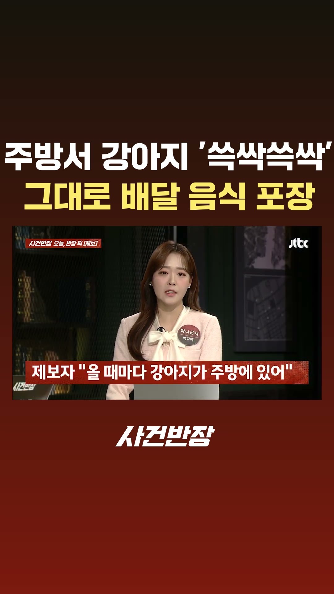 주방서 강아지 '엉덩이' 닦더니 그대로 배달음식 포장 #JTBC #Shorts