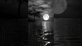 Relaxing ocean Sounds #ocean #oceanwaves #oceansounds #ambientsounds #calmcollective