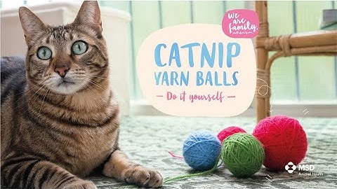 DIY - Catnip Yarn Balls