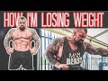 Fight Physique Update | Abs at 360lbs