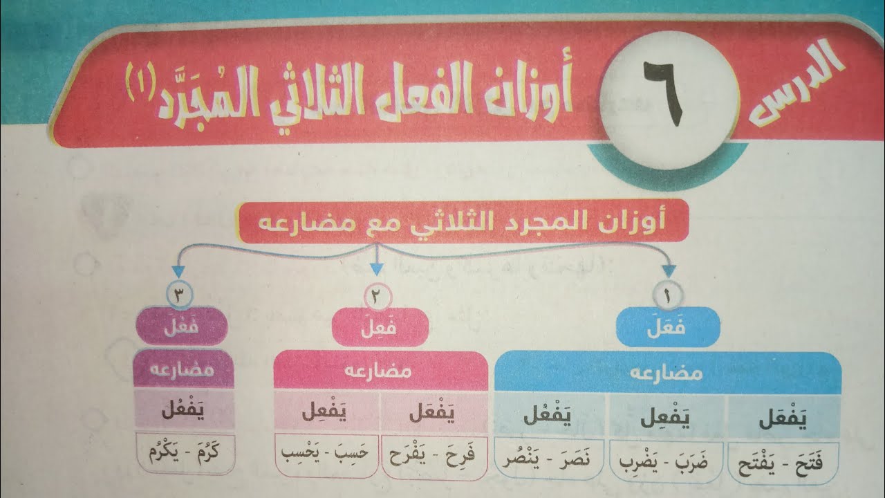 شرح وحل تدريبات درس (أوزان الفعل الثلاثي المجرد)للصف الثاني الإعدادي الأزهري الترم الأول 2024