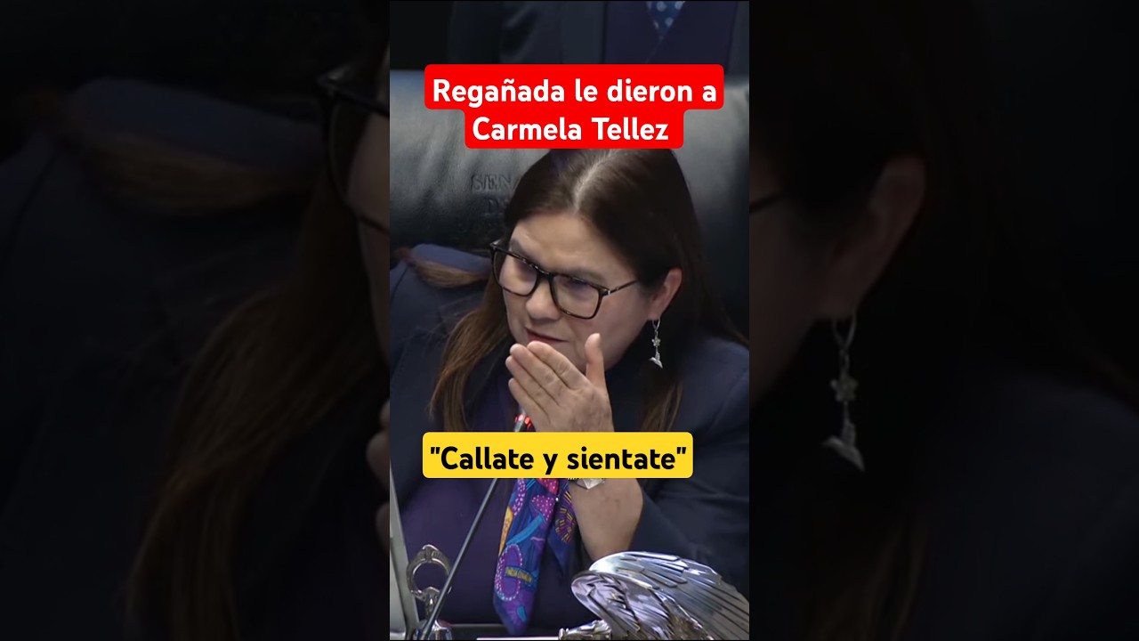 El show de la loca del senado. calladon de hocico le dieron a Lilly Téllez 