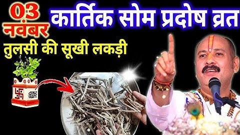 3 नवंबर कार्तिक सोमवार प्रदोष व्रत को तुलसी की सुखी लकड़ी वाला उपाय जरुर करे || Pradeep Ji Mishra